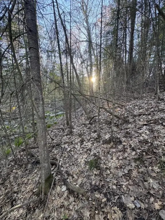 Picture 18