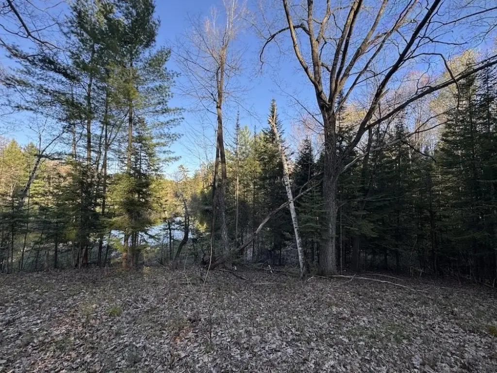 Picture 21