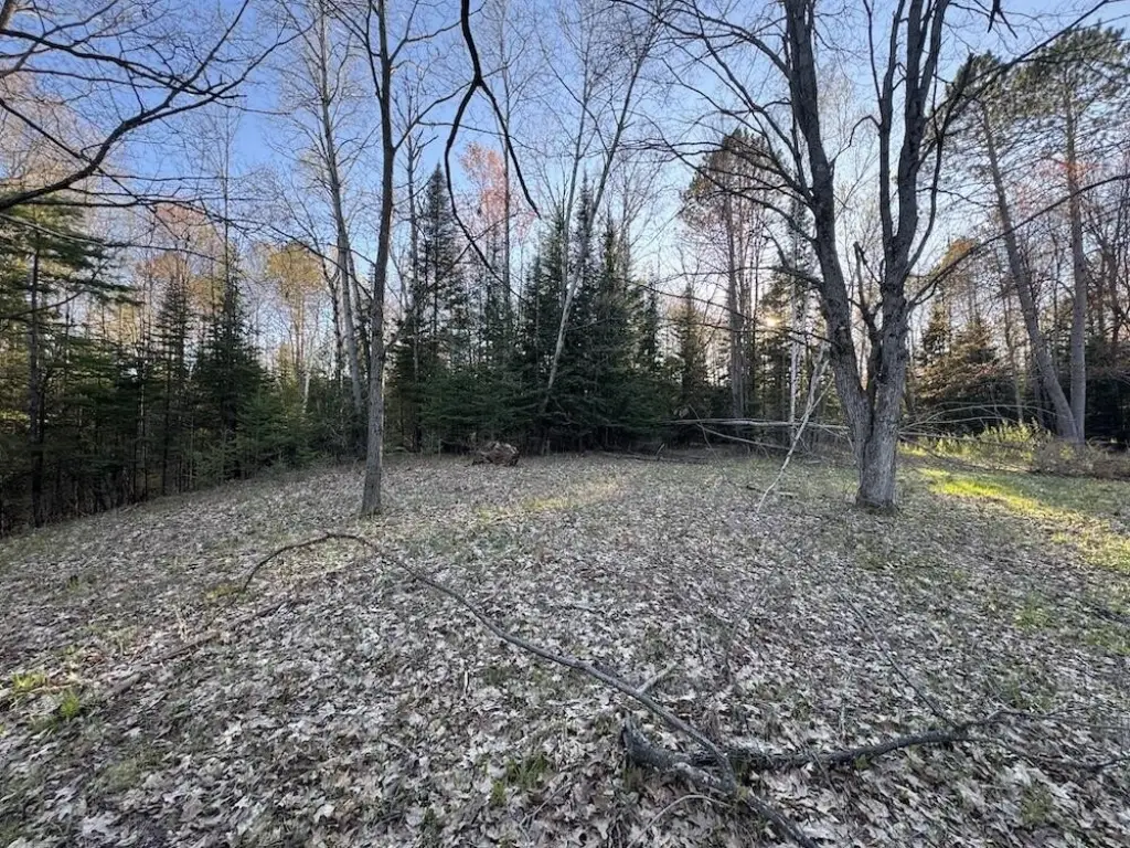 Picture 20