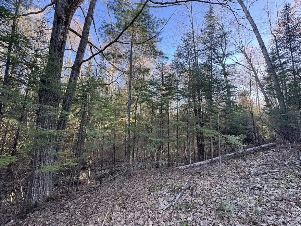 Picture 12