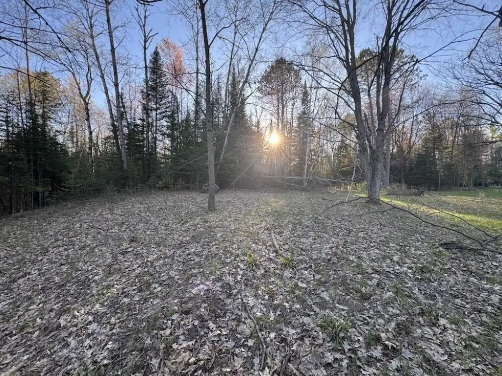 Picture 19