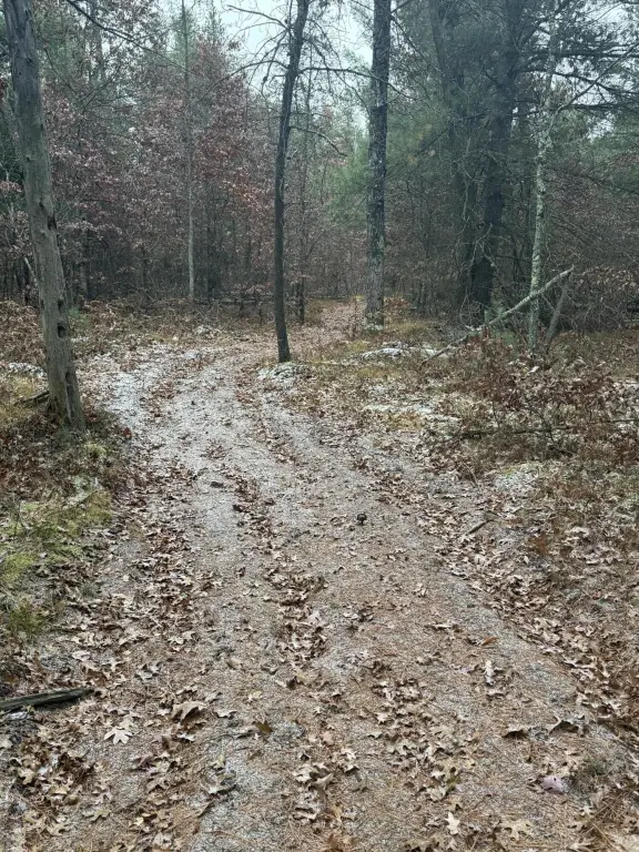 Picture 16