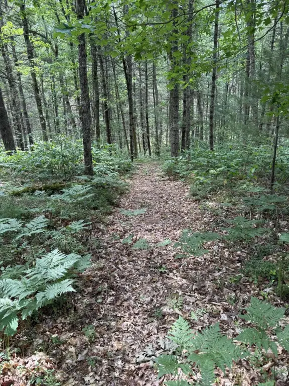 Picture 45