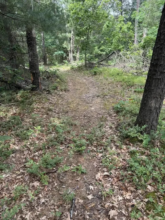 Picture 30