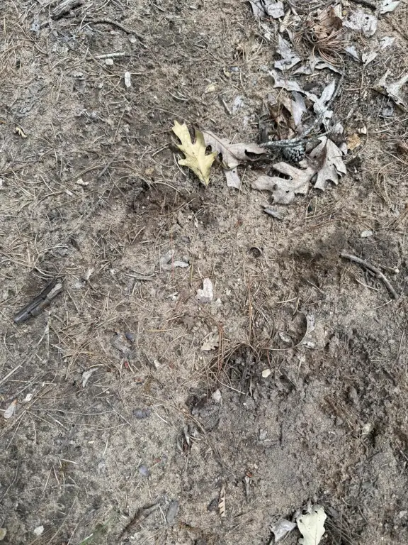 Picture 34
