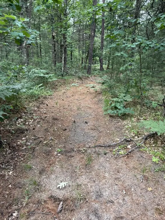 Picture 19
