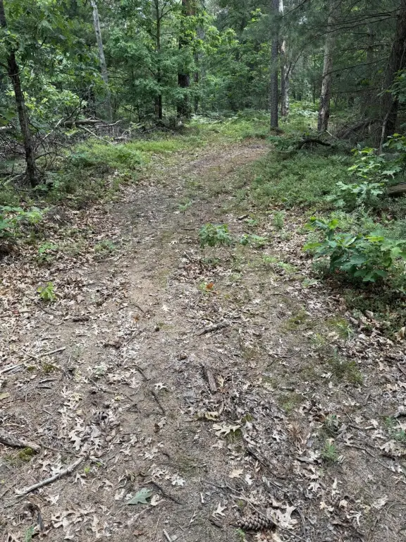 Picture 32