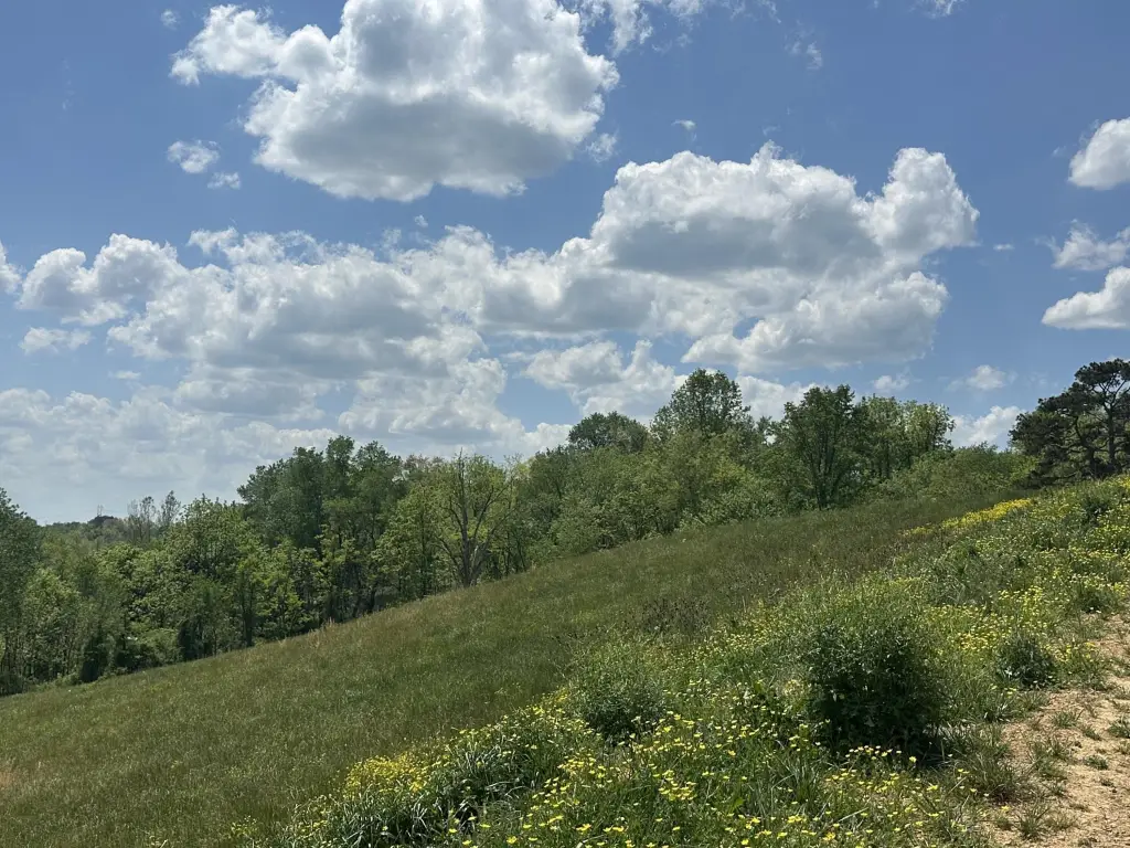 Picture 16