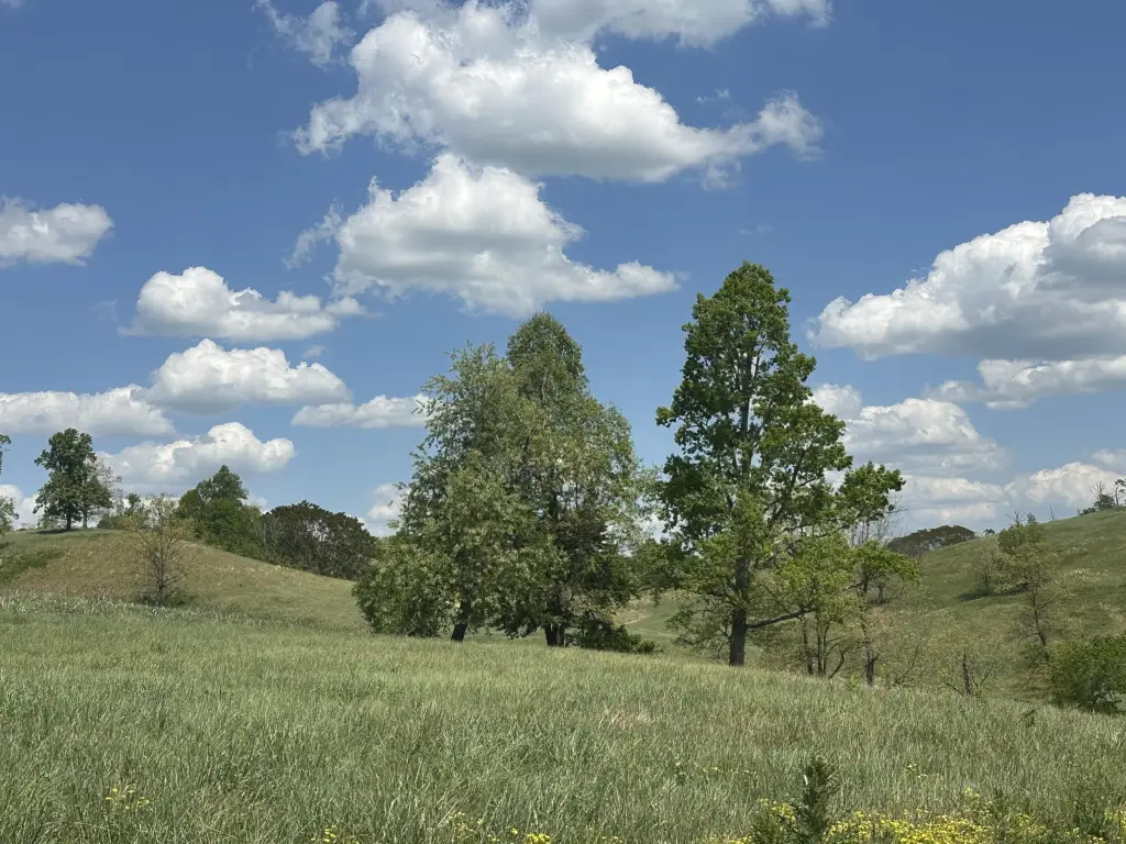 Picture 14