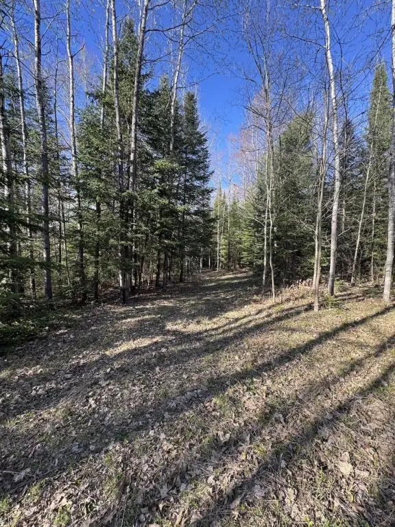 Picture 4