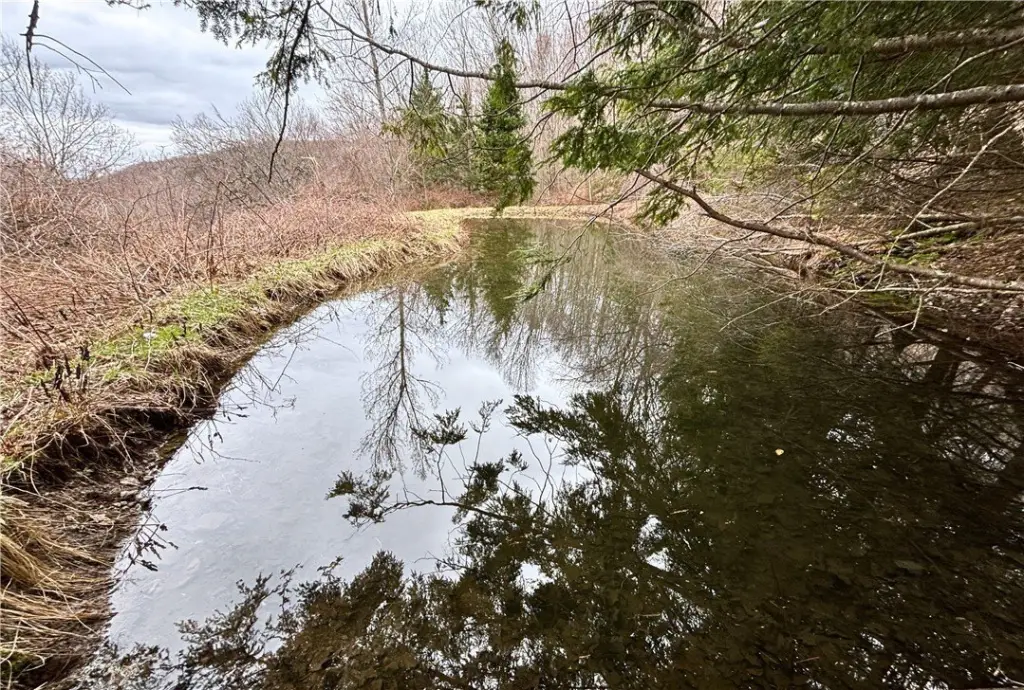 Picture 19