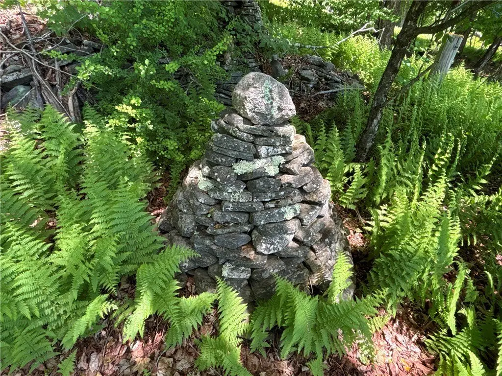 Picture 23