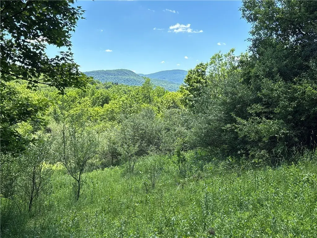Picture 18