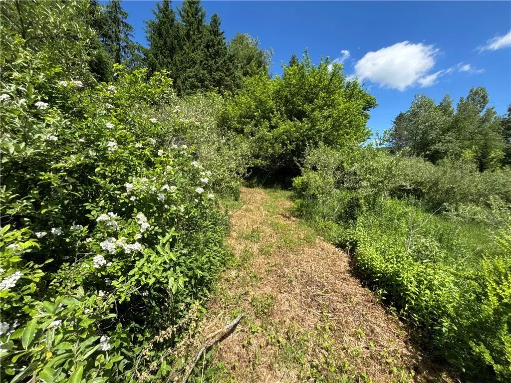 Picture 21