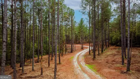 Cleared Lake-Access Homesite Acreage