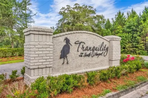 Residential Lot in Townsend, GA