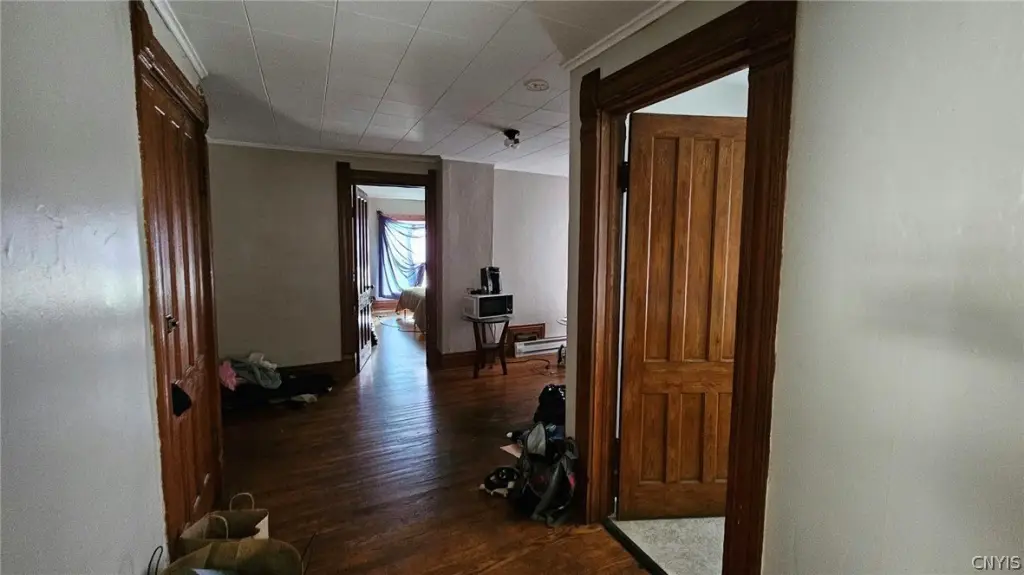 Picture 8
