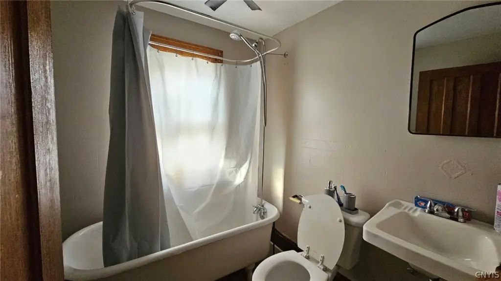 Picture 13