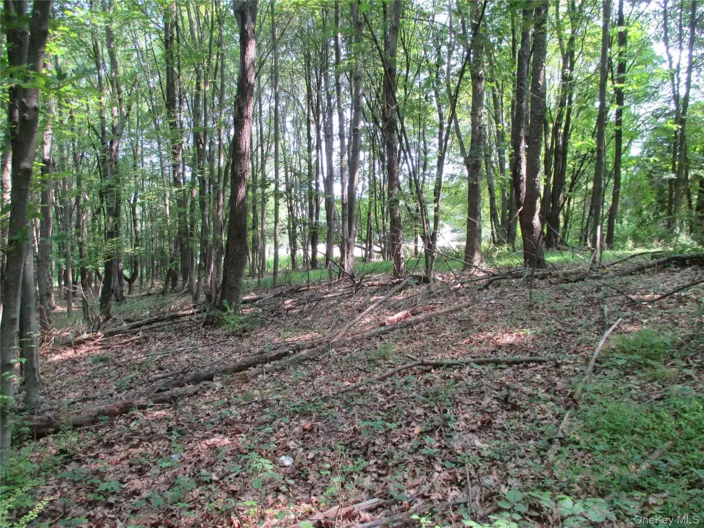 Picture 12