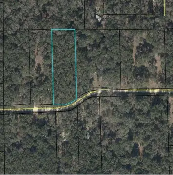 Wooded Lot in Old Town