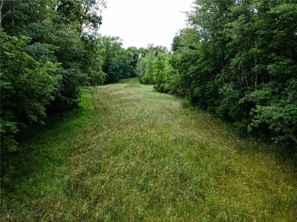 Picture 21