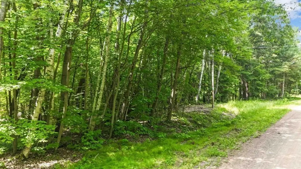 Picture 5