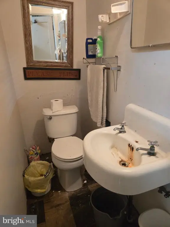 Picture 21