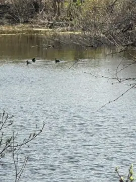 Horseshoe Bay Land for Sale