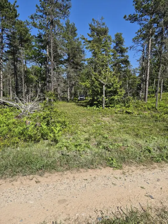 Picture 2