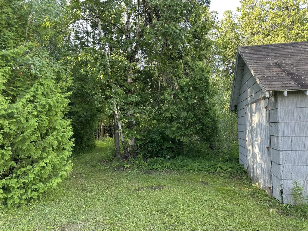Picture 18