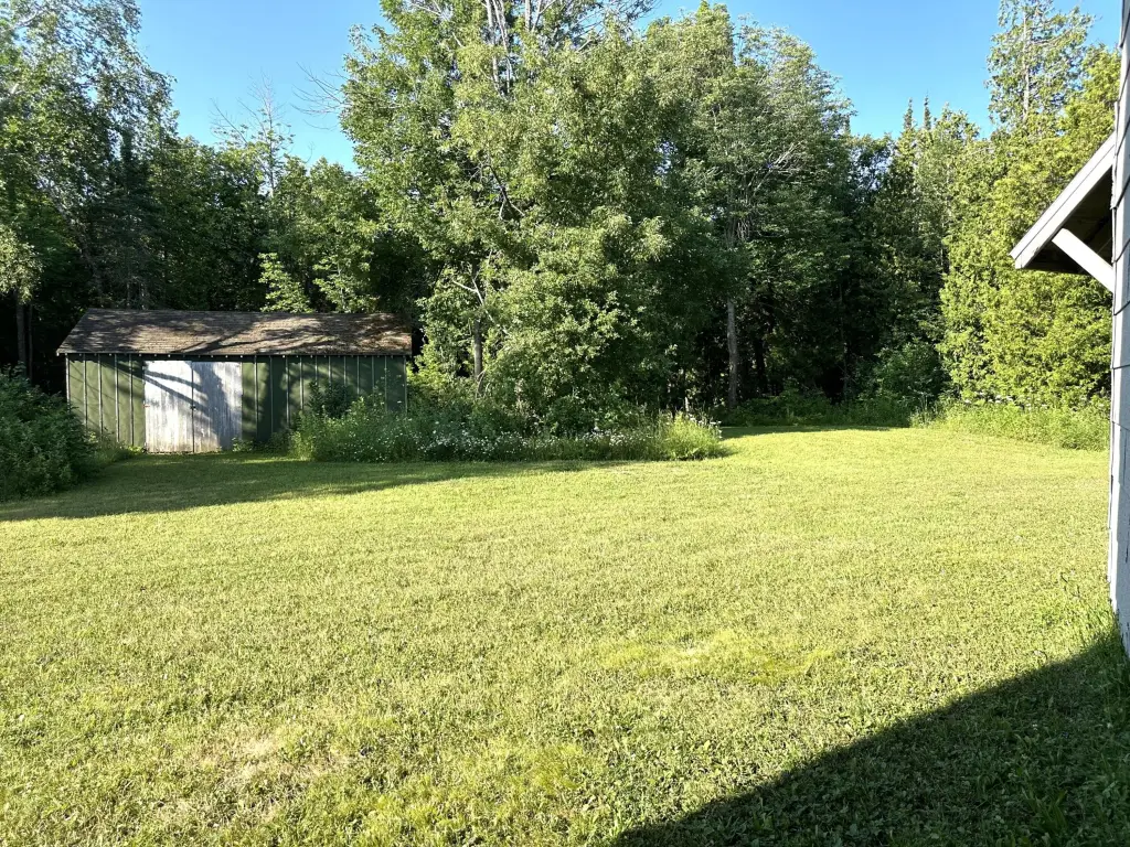 Picture 14