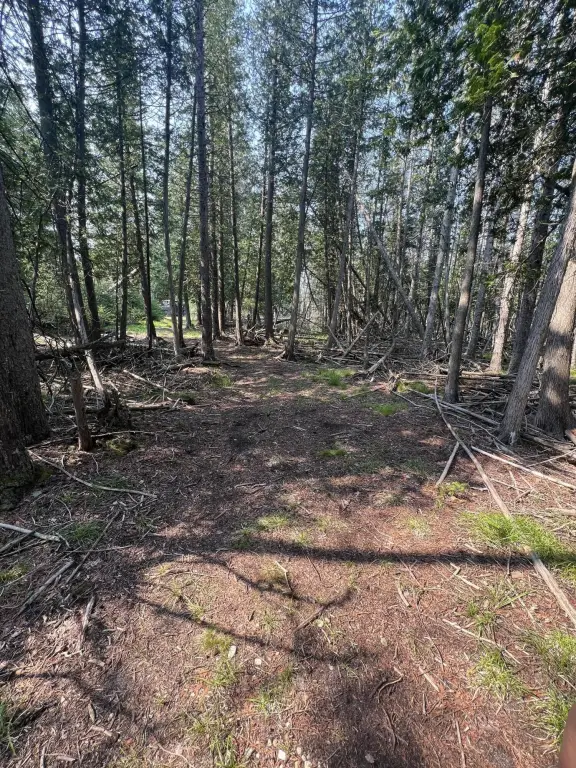 Picture 5