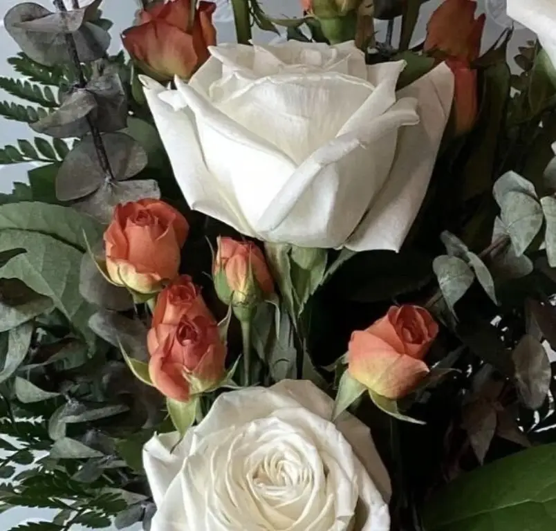 Picture 38