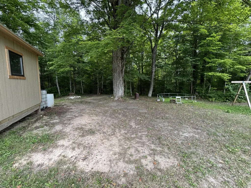 Picture 12