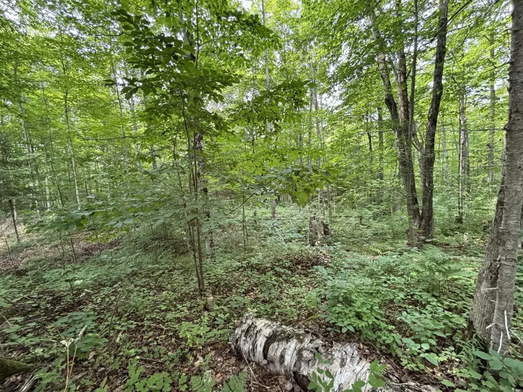 Picture 16