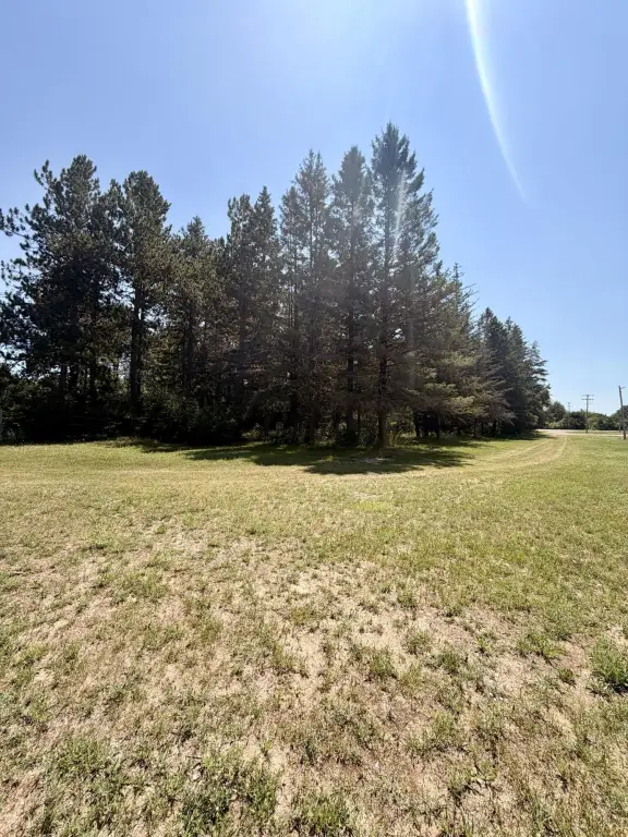 Picture 8