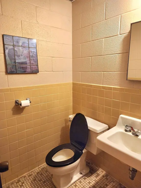 Picture 19