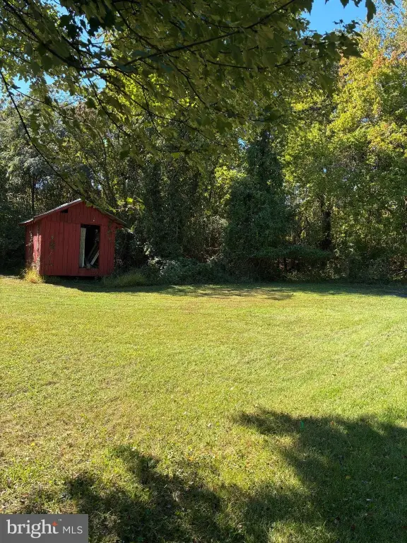 Picture 4