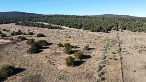 377 Acres in Tijeras, NM