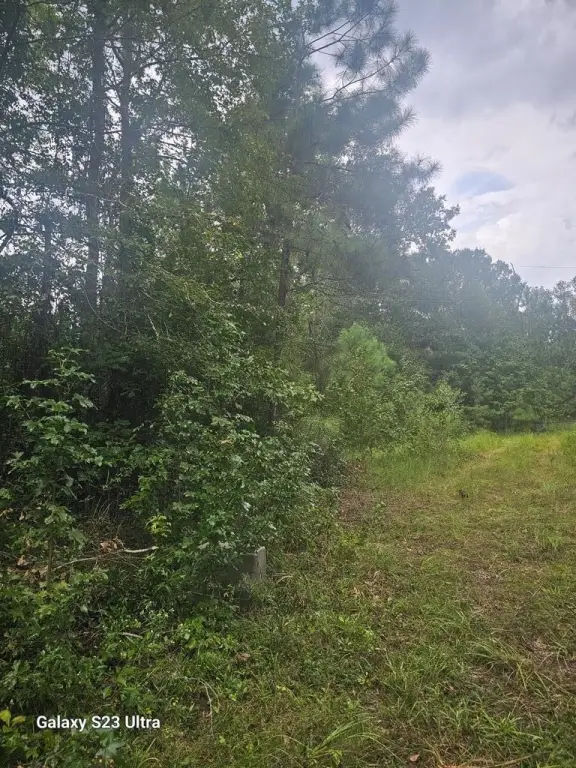 Picture 30