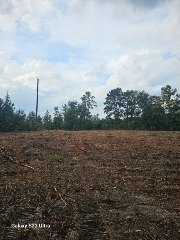 Picture 25