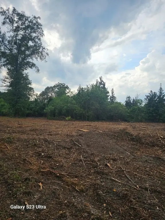 Picture 24