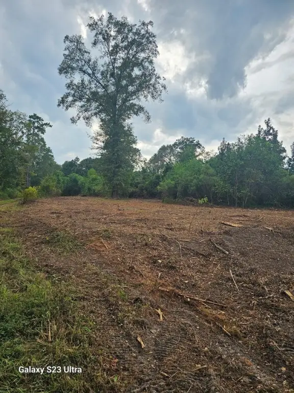 Picture 23