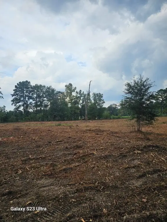 Picture 26