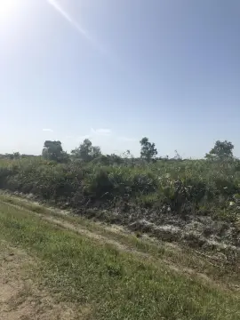 Okeechobee Residential Land Opportunity