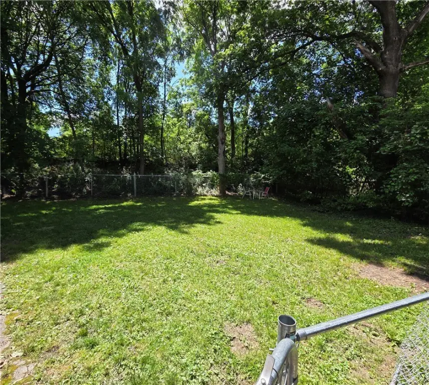 Picture 19