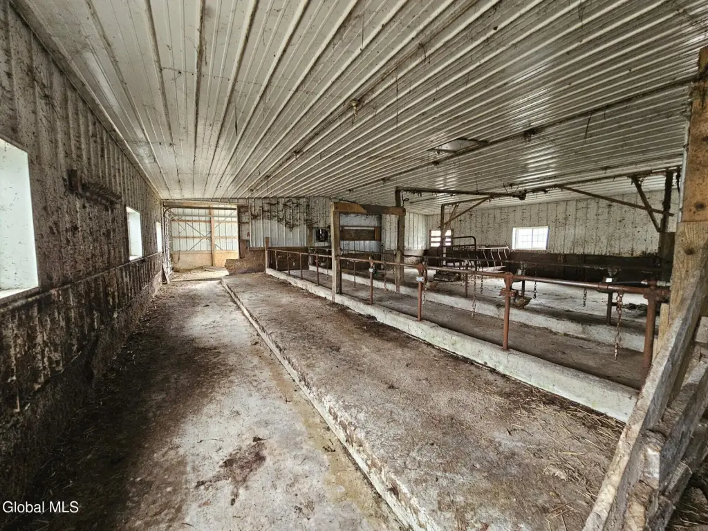 Picture 16