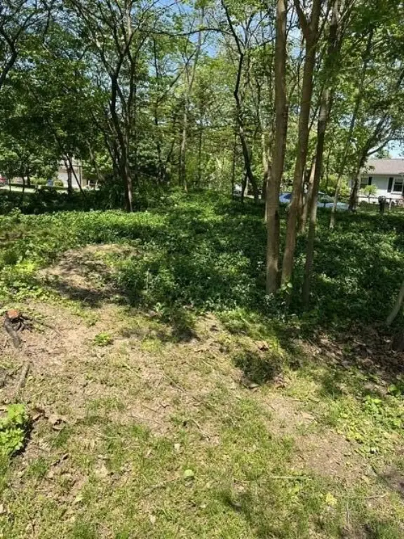 Picture 13