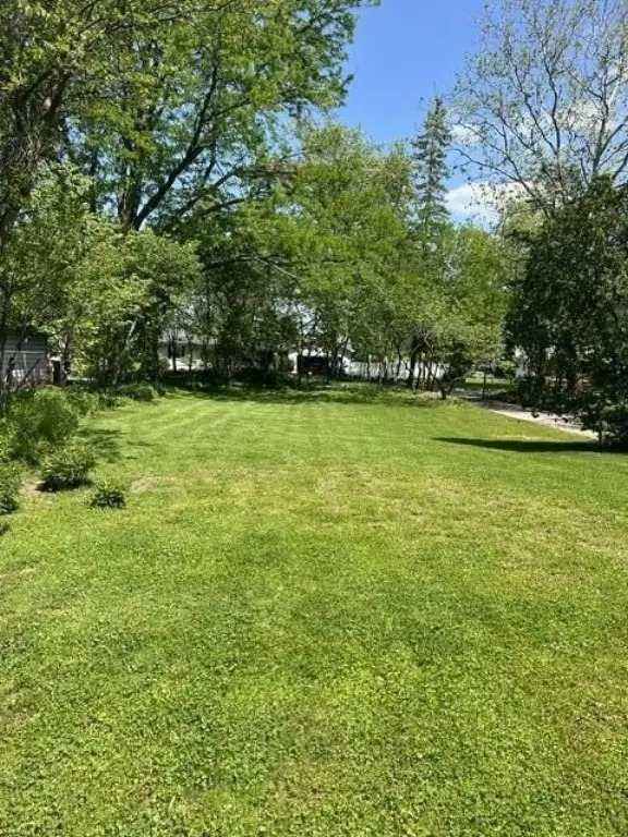 Picture 4