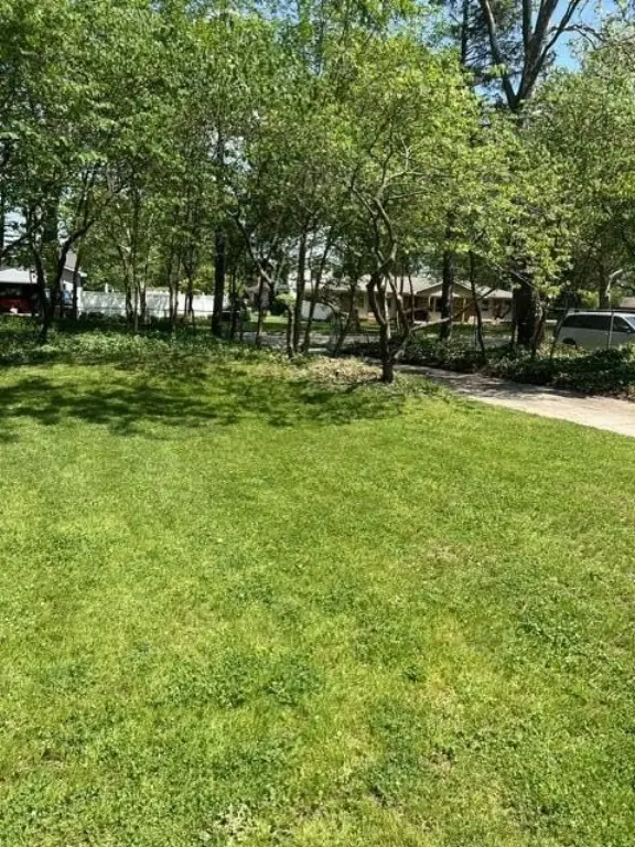 Picture 5